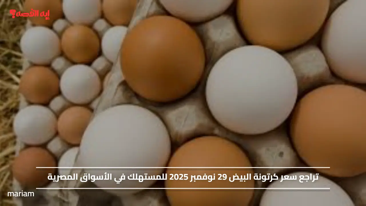 تراجع سعر كرتونة البيض 29 نوفمبر 2025 للمستهلك في الأسواق المصرية